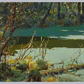 Yury Vasendin - krajiny