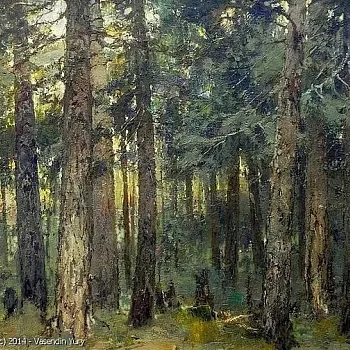 Yury Vasendin - krajiny