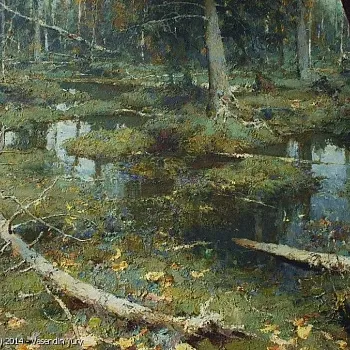 Yury Vasendin - krajiny