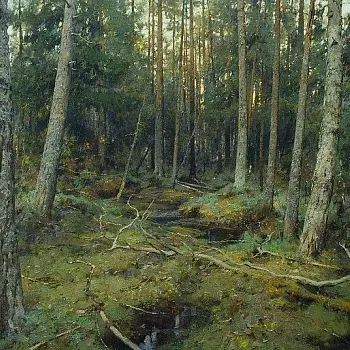 Yury Vasendin - krajiny