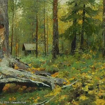 Yury Vasendin - krajiny