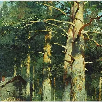 Yury Vasendin - krajiny