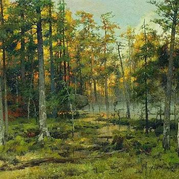 Yury Vasendin - krajiny