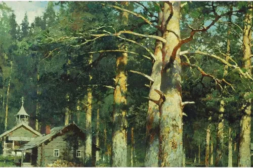 Yury Vasendin - krajiny