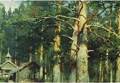 Yury Vasendin - krajiny