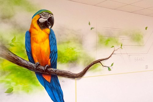 Papoušek na stěně