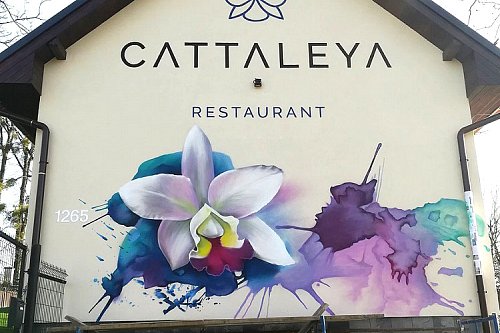Barevné oživení fasády restaurace Cattaleya