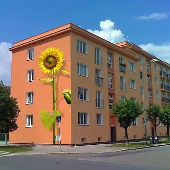 Vizualizace - Ukázky vizualizací