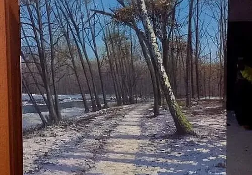 Cesta kolem ostravice - akryl na dřevě