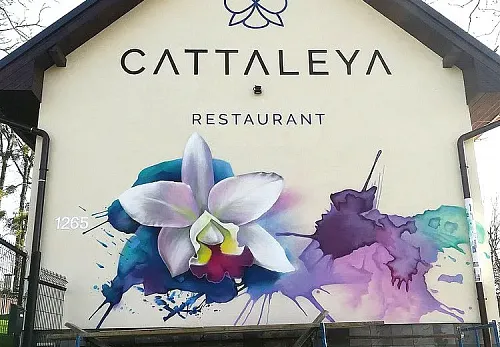 Barevné oživení fasády restaurace Cattaleya